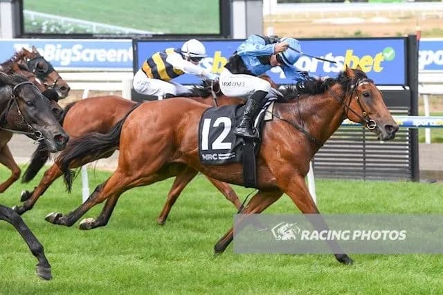 Julie Sampson and Meridy Taite