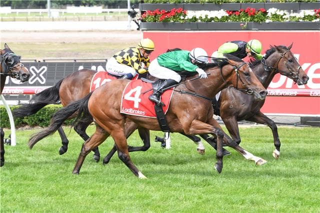 Hearcomesthestar wins Unox Casa Lawson Poole Plate: Post Race Trainer and Jockey Quotes