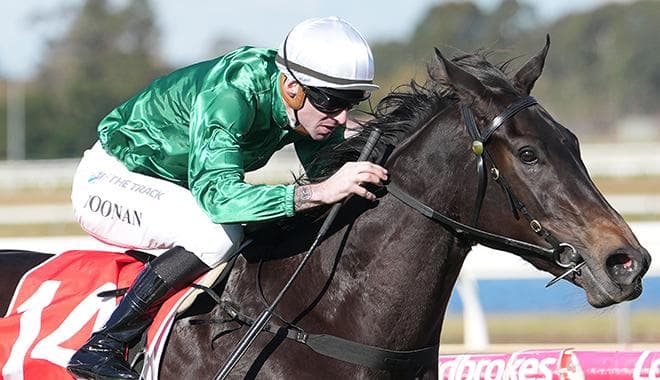 Caulfield test for The Volta